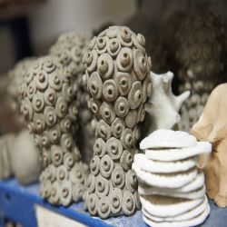 fs-gestalter-0474607ED1-2E00-36C7-97F1-A84B5C52520E